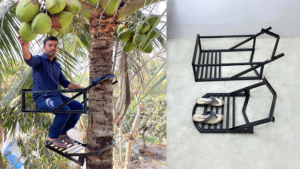 Read more about the article DIY Coconut Tree Climbing Machine